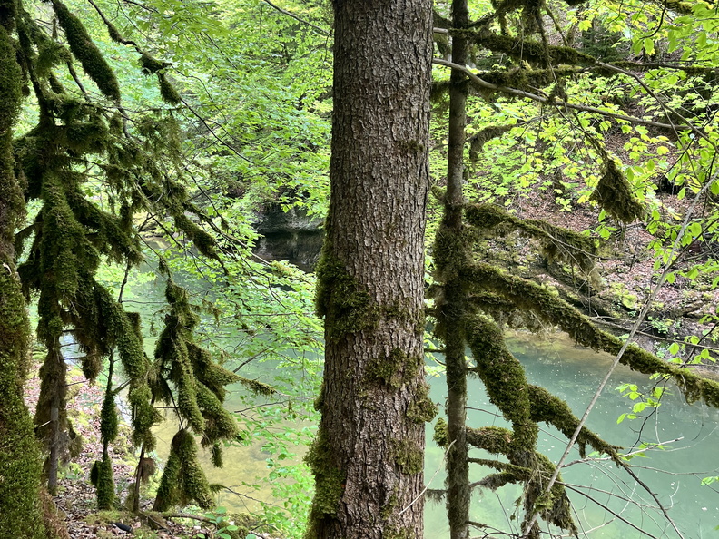 23-05-20 11-47-22 5486